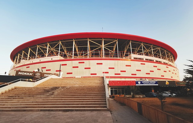 只有当身体 只有当身体