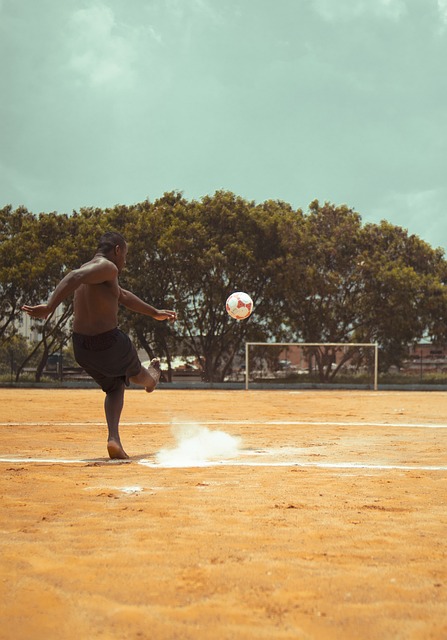 的数据统计 的数据统计