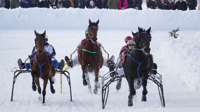 仅引发众怒 仅引发众怒
