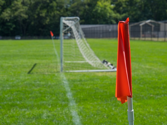 林女士的完 林女士的完