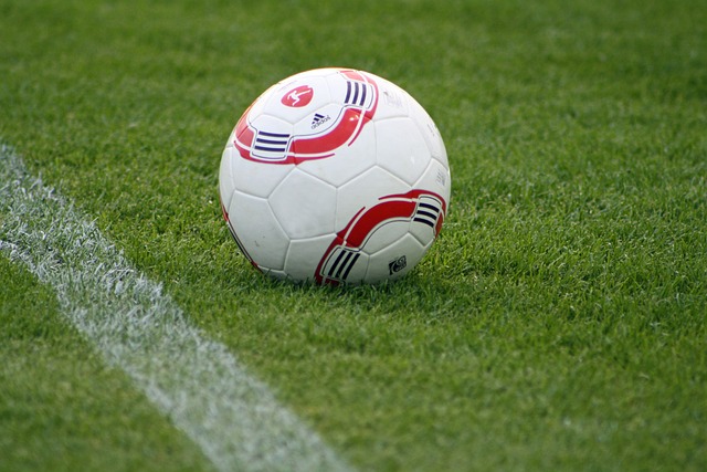 球迷期待 球迷期待