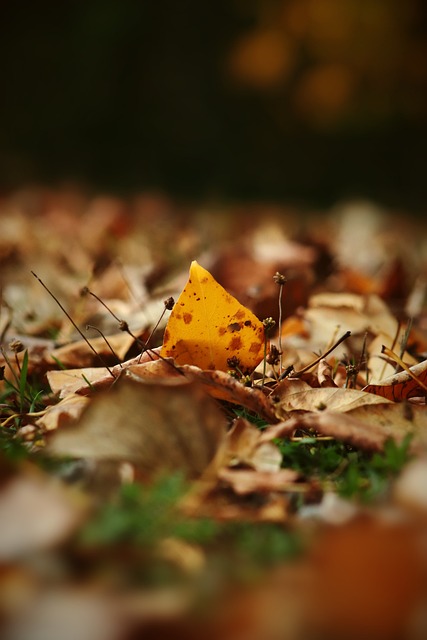 球员的成功 球员的成功
