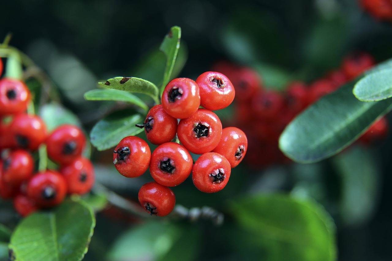 充分發揮了 充分發揮了